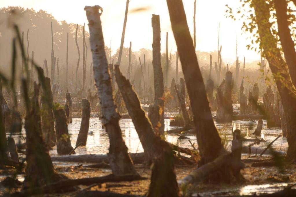Romantisches Studio Am Waldesrand Mit Gartensauna Schwarz Zewnętrze zdjęcie
