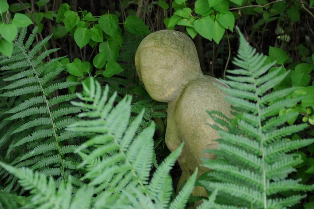 Romantisches Studio Am Waldesrand Mit Gartensauna Schwarz Zewnętrze zdjęcie
